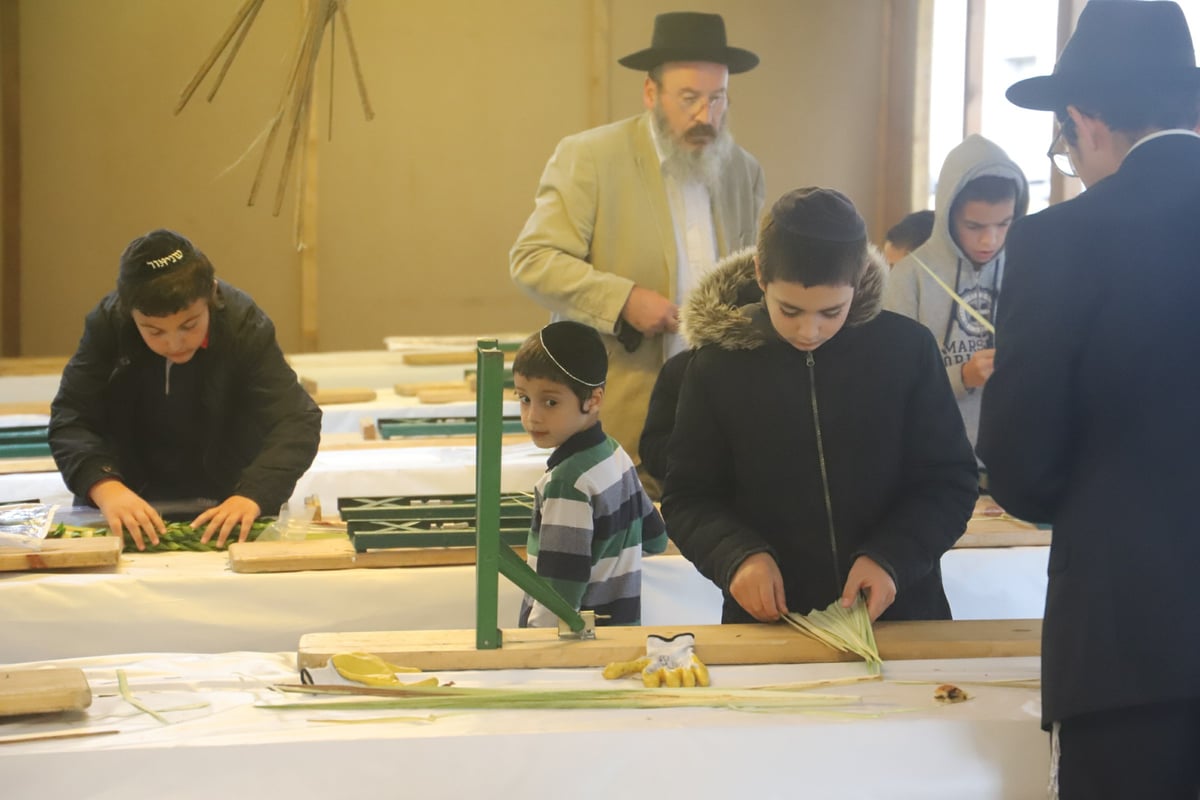 תיעוד מיוחד: ההיערכות לחג הסוכות בפריז • צפו