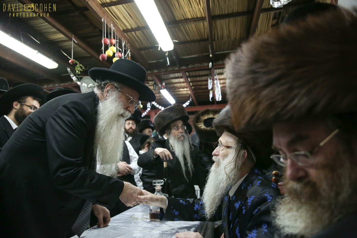 שמחת בית השואבה בחצר נדבורנה צפת. צפו