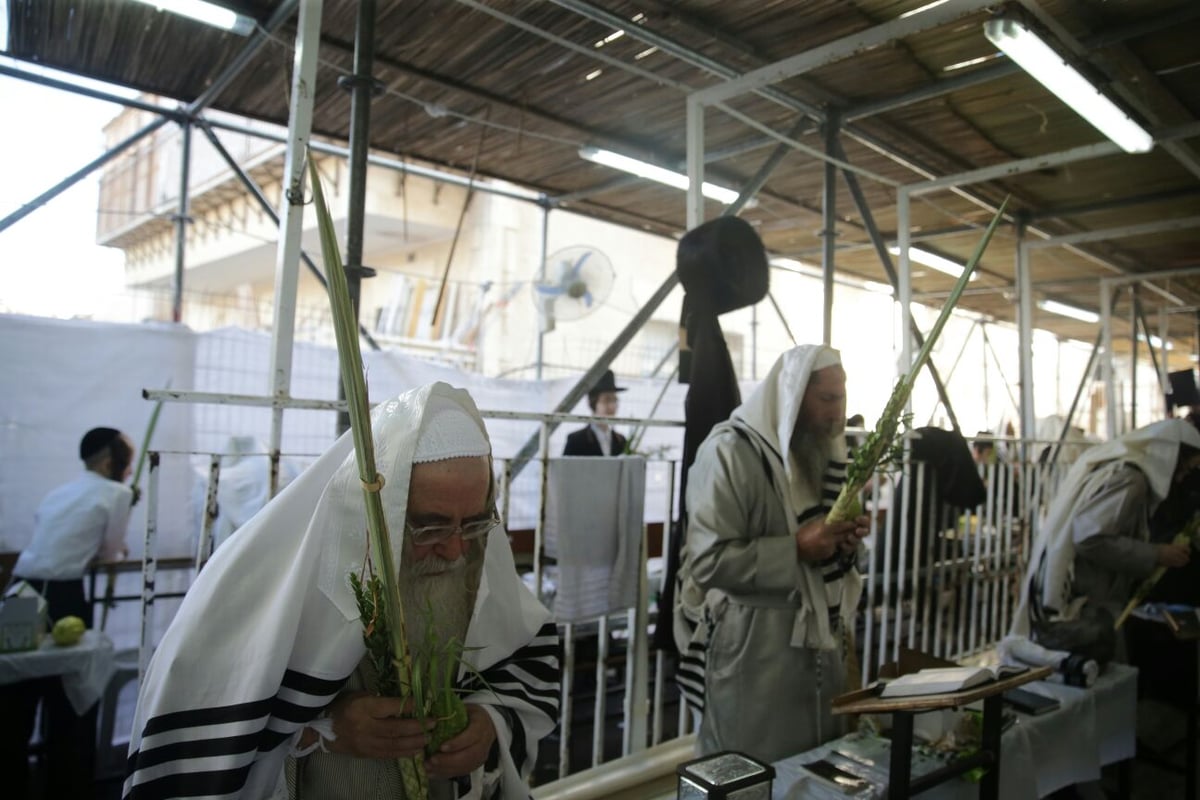 וּלְקַחְתֶּם לָכֶם • חול המועד בברסלב - מא"ש