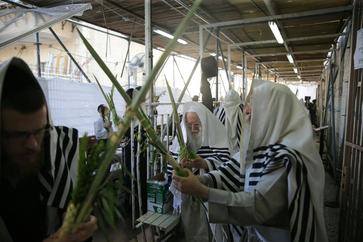 וּלְקַחְתֶּם לָכֶם • חול המועד בברסלב - מא"ש