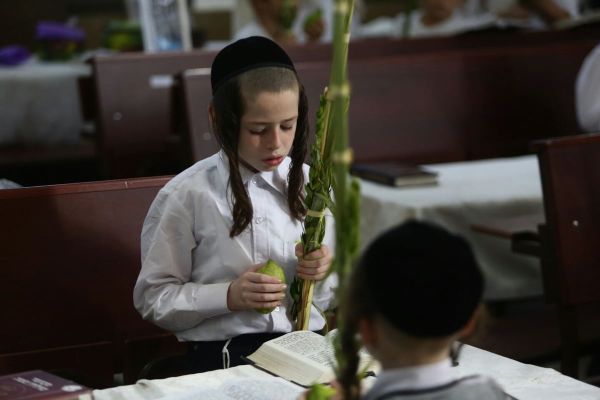 וּלְקַחְתֶּם לָכֶם • חול המועד בברסלב - מא"ש