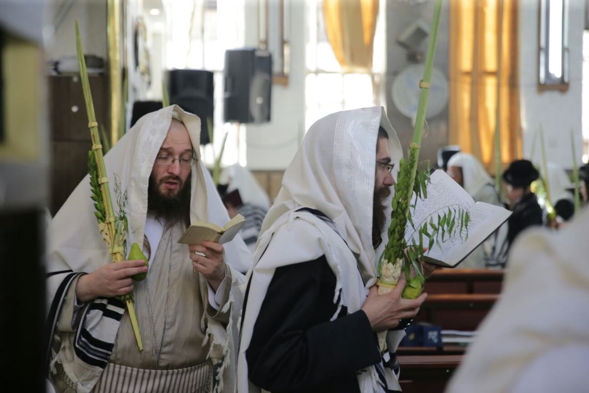 וּלְקַחְתֶּם לָכֶם • חול המועד בברסלב - מא"ש