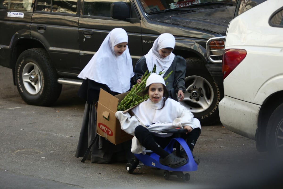 צפו: ילדים ב"לבוש חגיגי" מוכרים הדסים