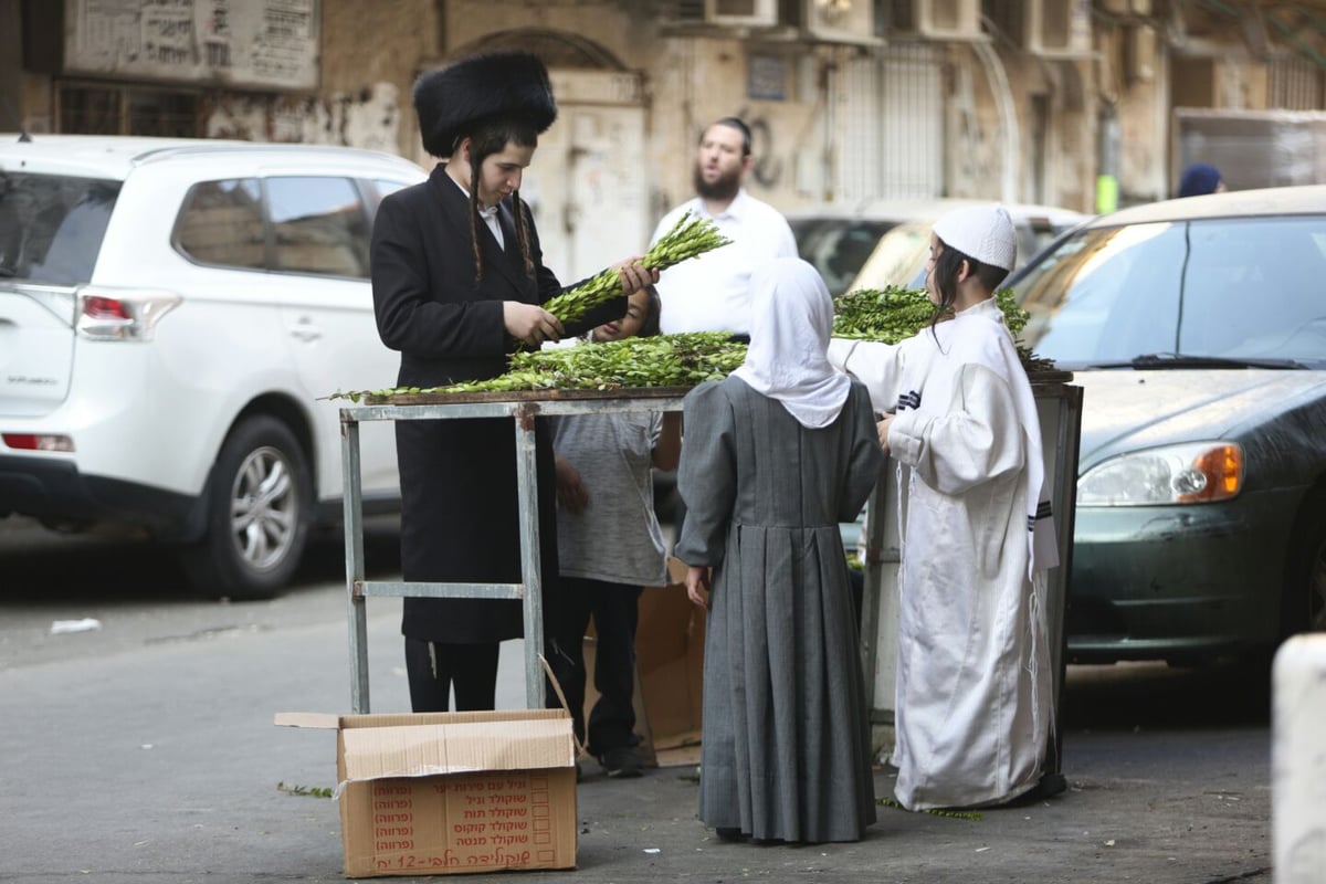 צפו: ילדים ב"לבוש חגיגי" מוכרים הדסים