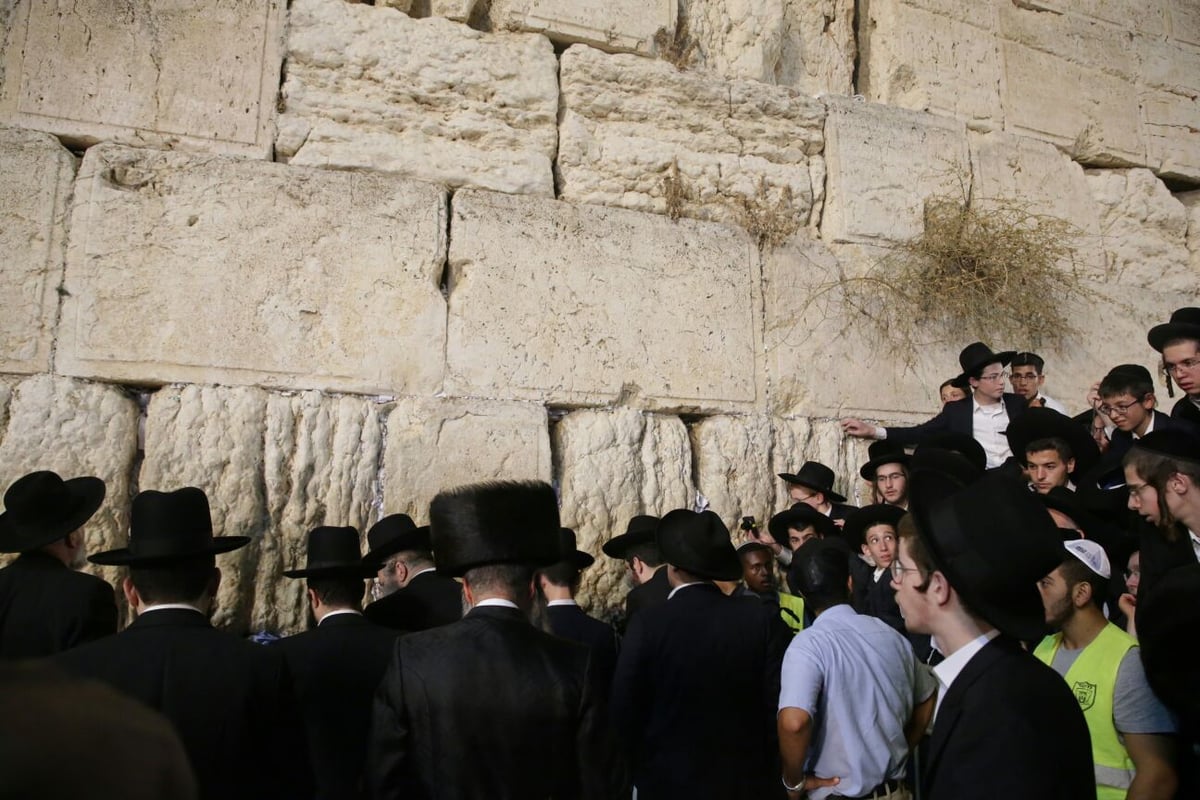 תיעוד ראשון ב'כיכר': הגר"ח קנייבסקי בירושלים