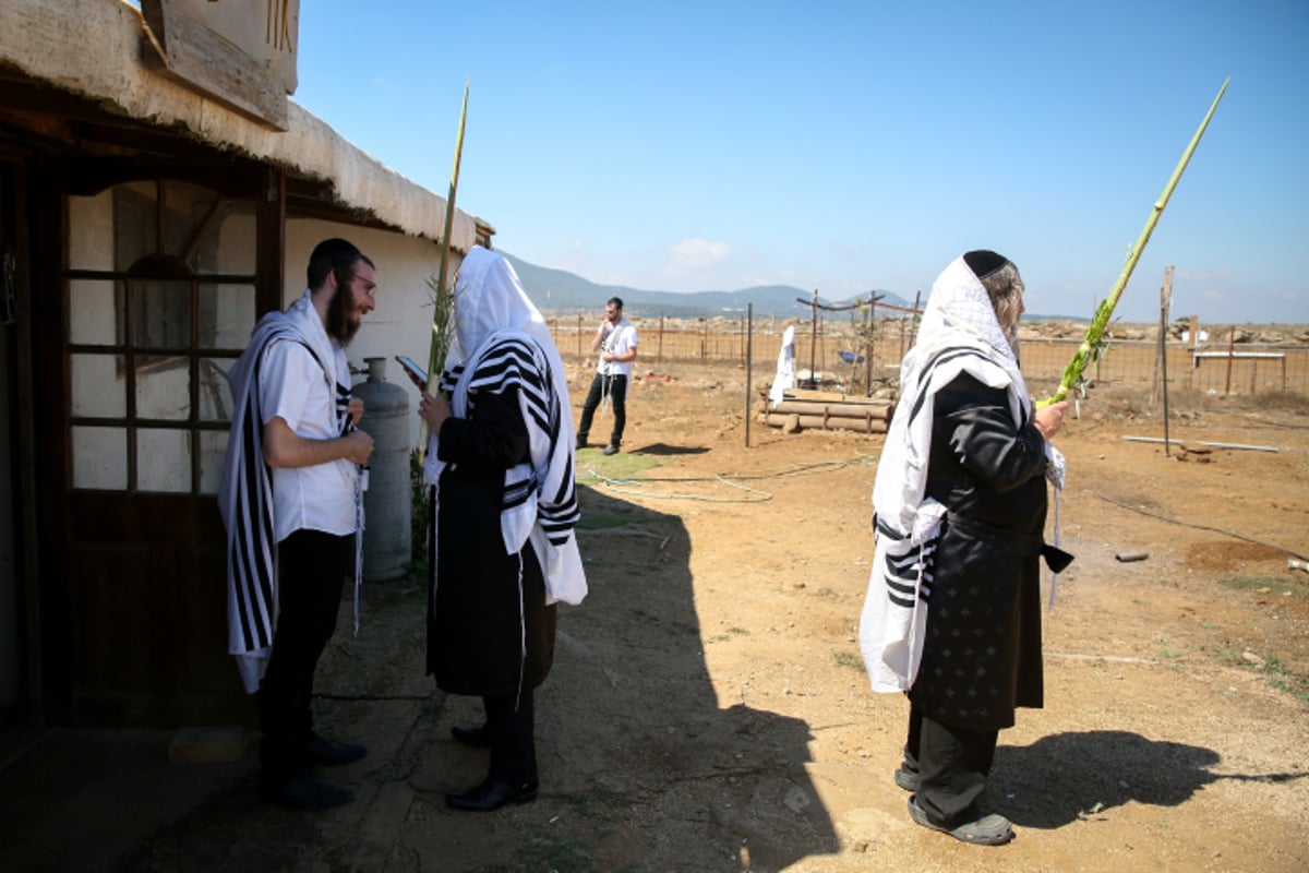 שחרית והלל נוסח קרליבך בקדיתא •  צפו