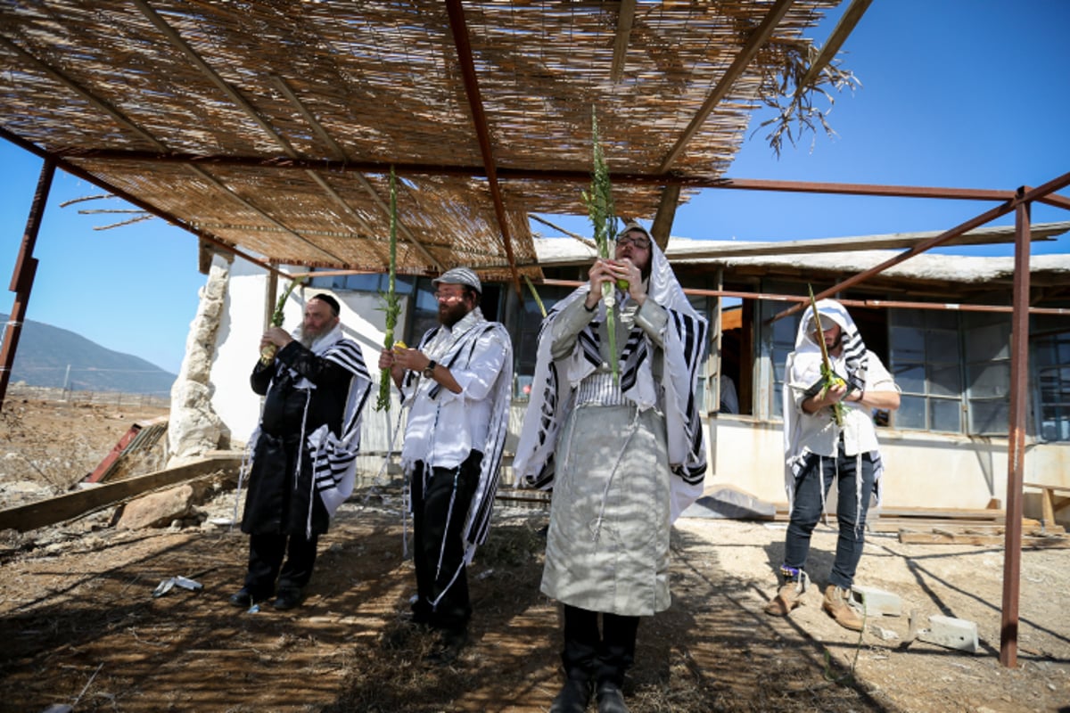 שחרית והלל נוסח קרליבך בקדיתא •  צפו