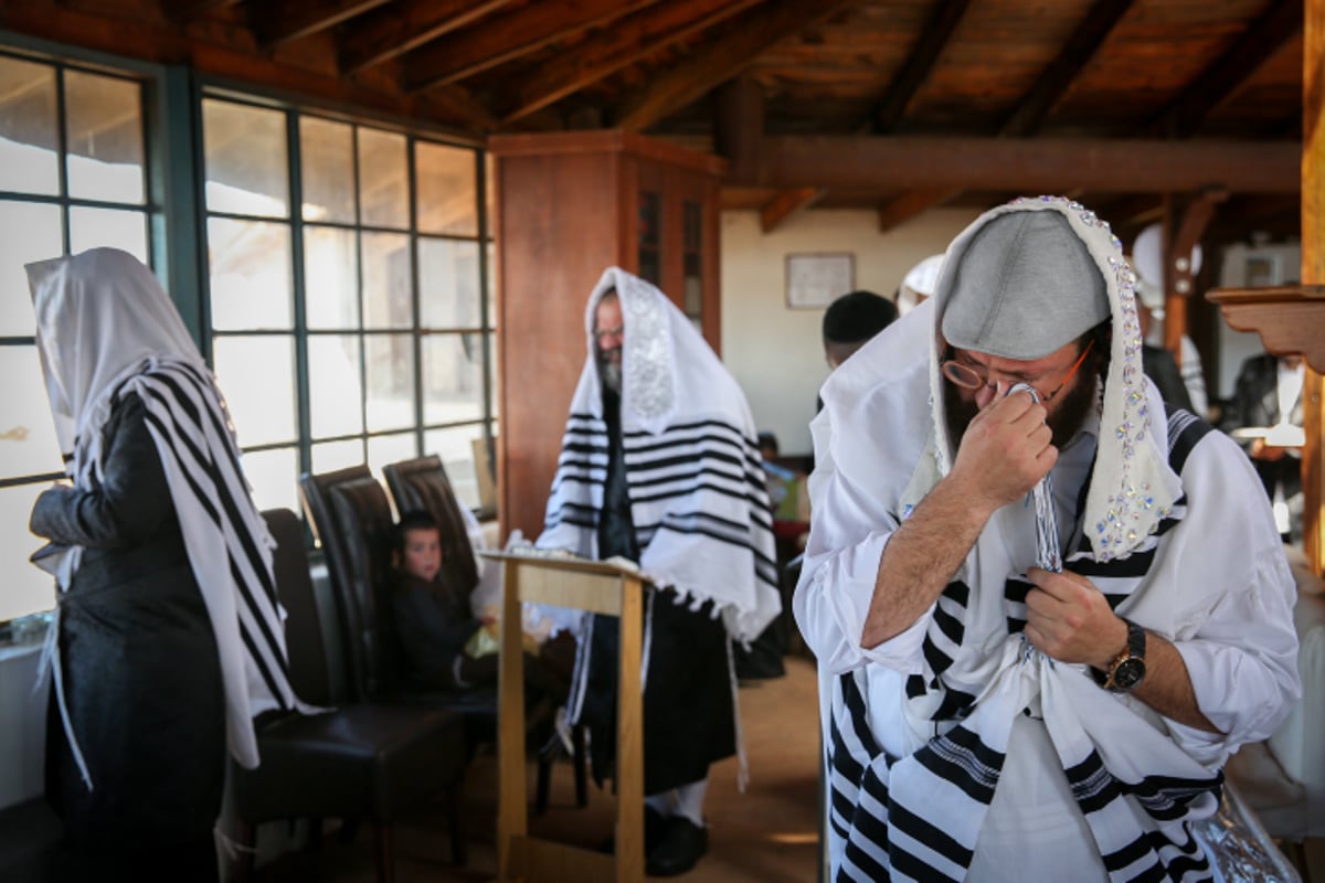 שחרית והלל נוסח קרליבך בקדיתא •  צפו