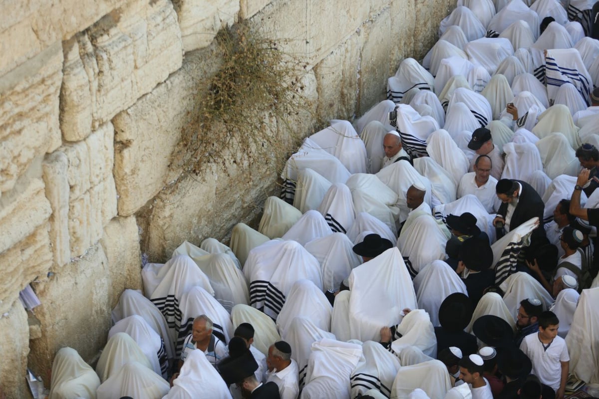 מעמד 'ברכת כהנים' של מוסף בכותל המערבי. צפו