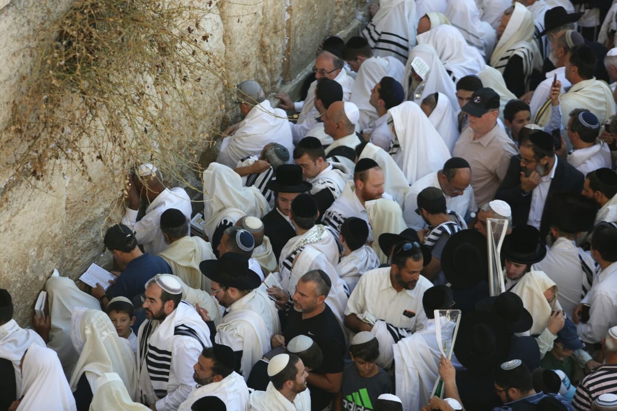 מעמד 'ברכת כהנים' של מוסף בכותל המערבי. צפו