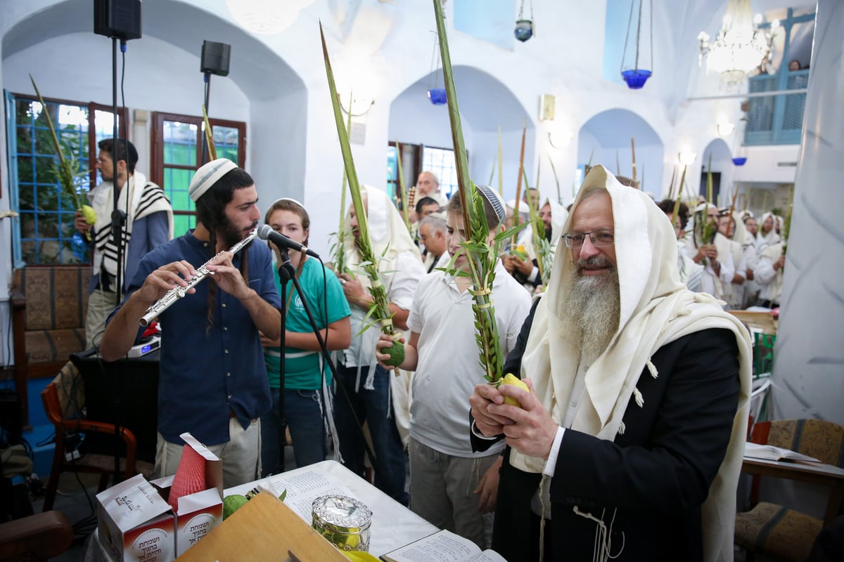 צפת: תפילה חגיגית בבית הכנסת "אבוהב" • צפו