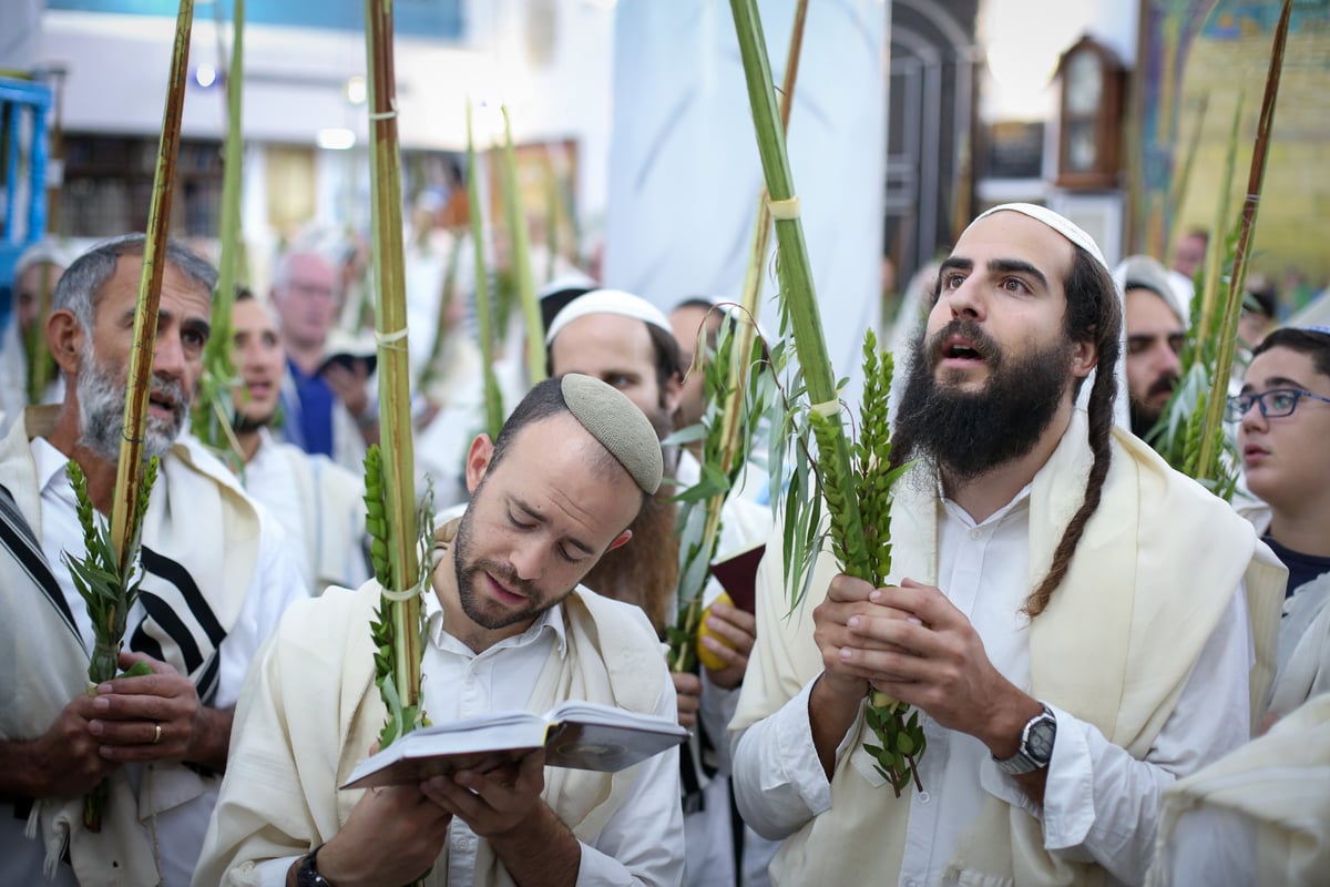 צפת: תפילה חגיגית בבית הכנסת "אבוהב" • צפו