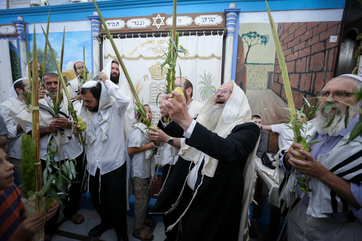 צפת: תפילה חגיגית בבית הכנסת "אבוהב" • צפו