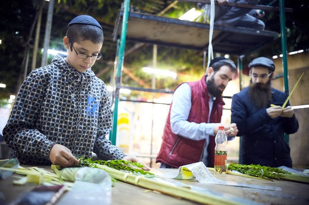 כך נראה חג הסוכות במוסקבה. גלריה