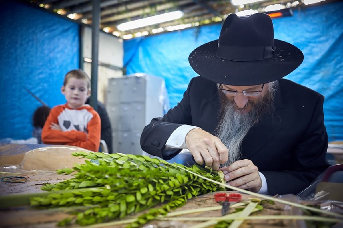 כך נראה חג הסוכות במוסקבה. גלריה