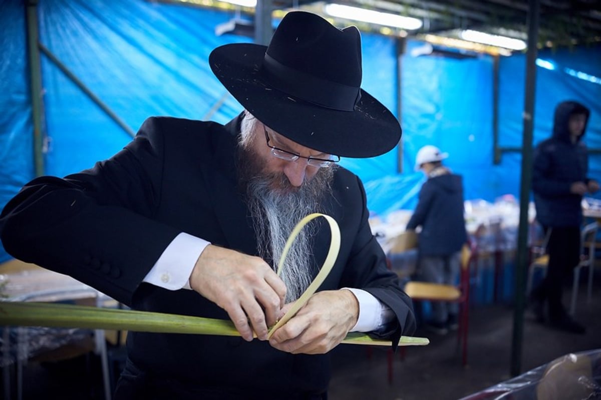 כך נראה חג הסוכות במוסקבה. גלריה