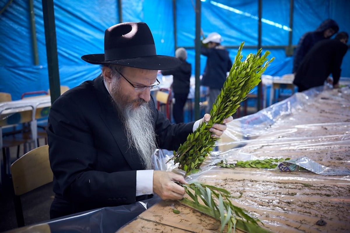 כך נראה חג הסוכות במוסקבה. גלריה