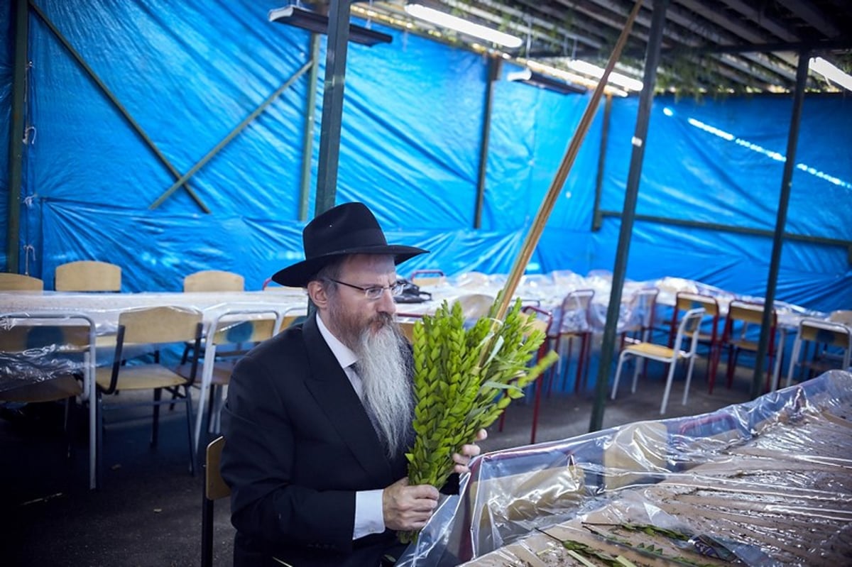 כך נראה חג הסוכות במוסקבה. גלריה