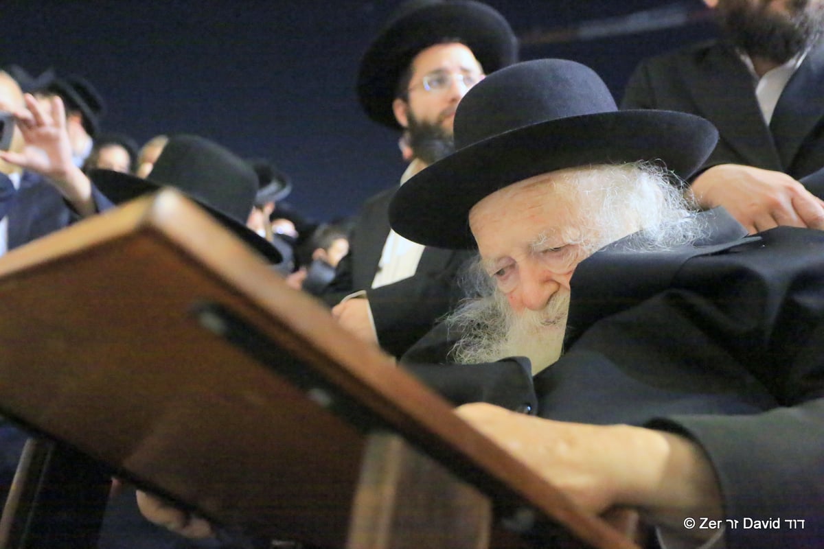 ה'עלייה לרגל' של הגר"ח קנייבסקי • תיעוד ענק