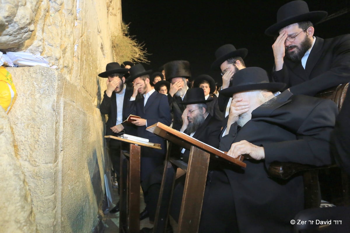 ה'עלייה לרגל' של הגר"ח קנייבסקי • תיעוד ענק