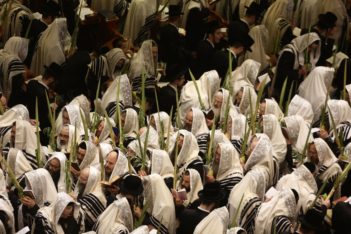 הושענא רבה בחצר הקודש בעלזא • תיעוד