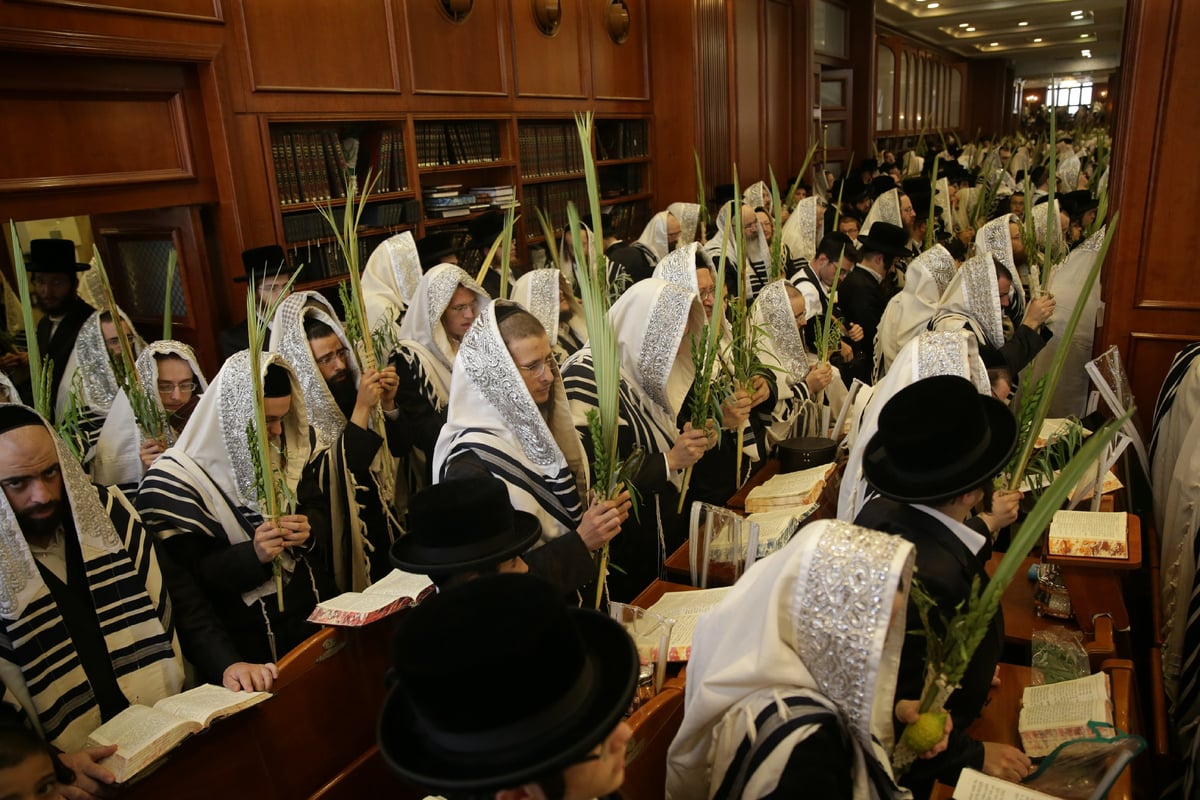 הושענא רבה בחצר הקודש בעלזא • תיעוד