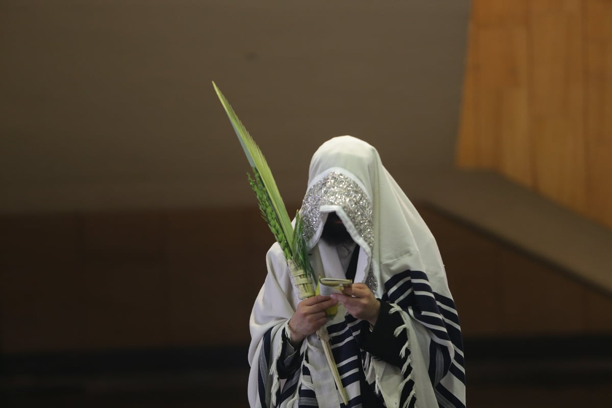 הושענא רבה בחצר הקודש בעלזא • תיעוד