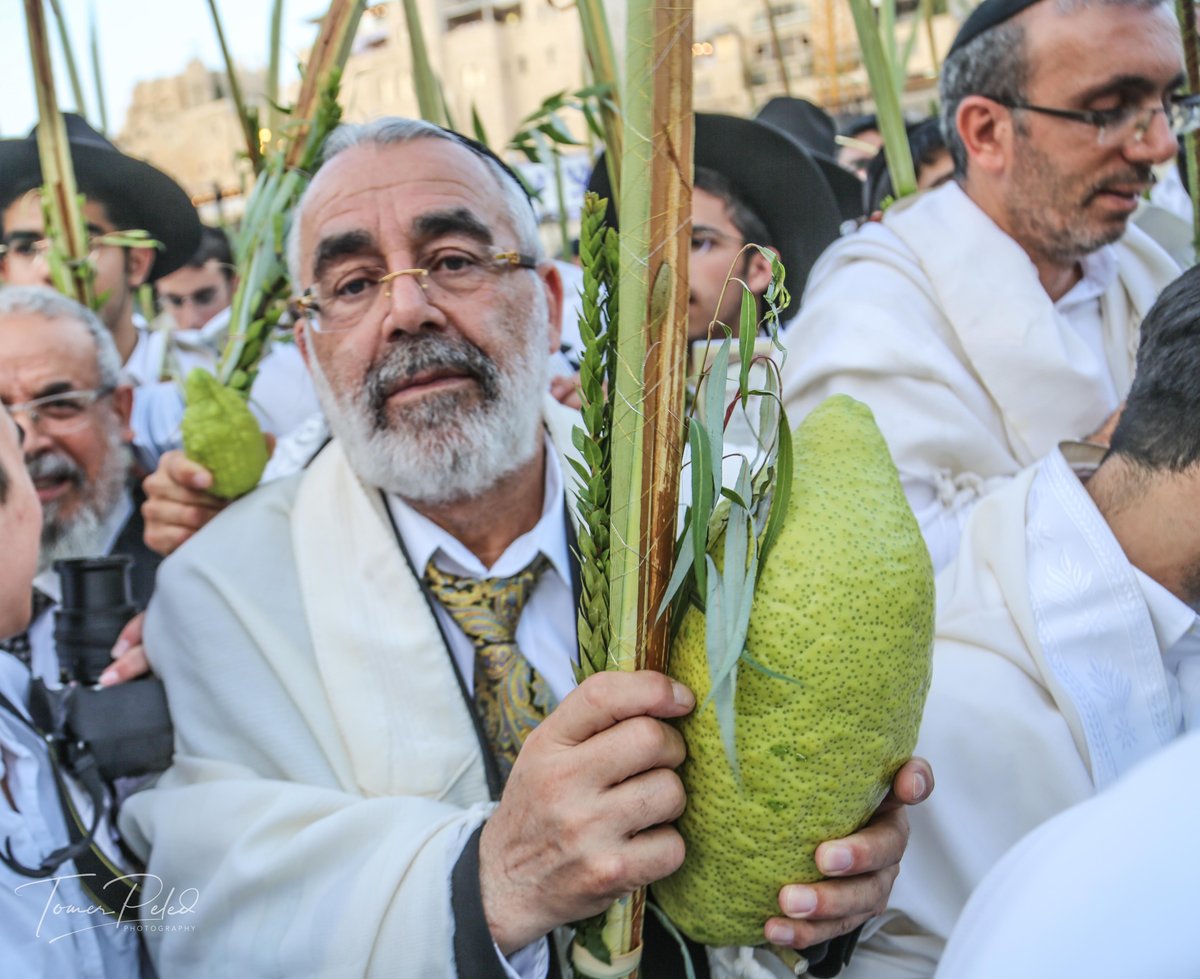 צפו: יעקב שוואקי מסלסל בהושענות בכותל המערבי