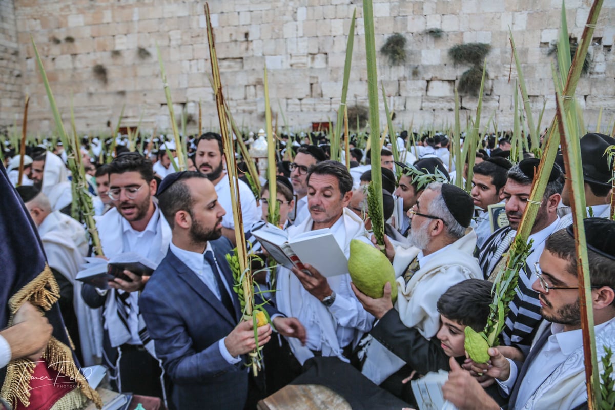 צפו: יעקב שוואקי מסלסל בהושענות בכותל המערבי