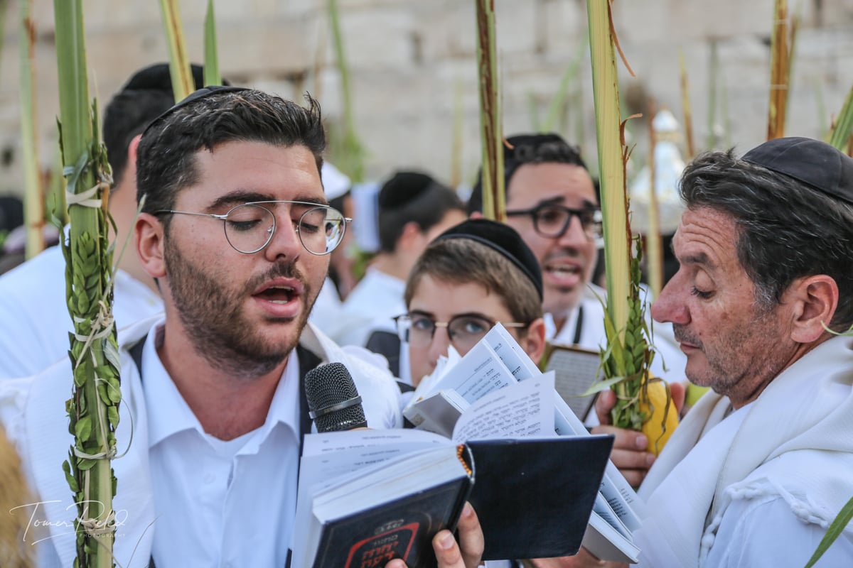 צפו: יעקב שוואקי מסלסל בהושענות בכותל המערבי