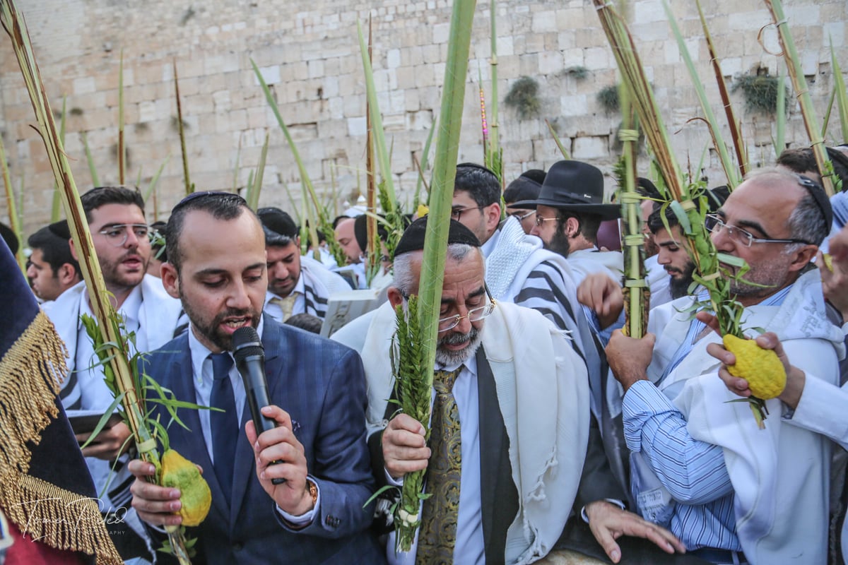 צפו: יעקב שוואקי מסלסל בהושענות בכותל המערבי