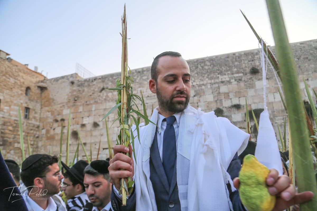 צפו: יעקב שוואקי מסלסל בהושענות בכותל המערבי