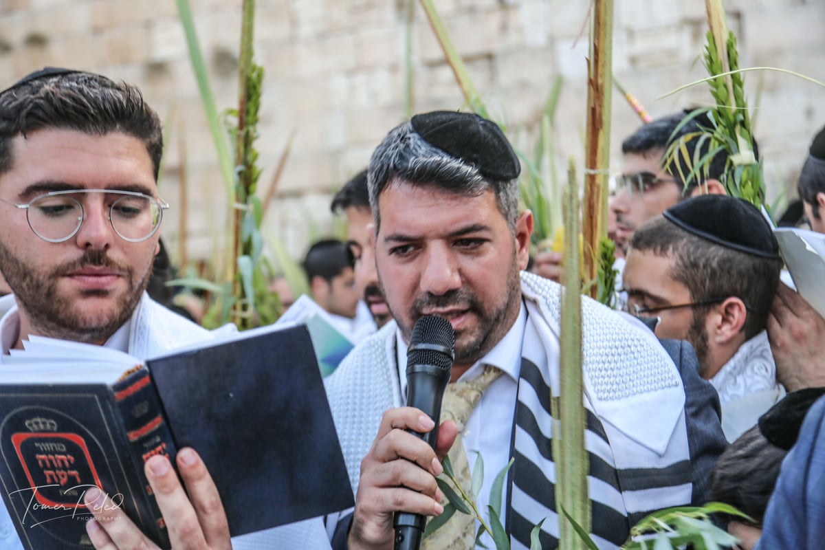 צפו: יעקב שוואקי מסלסל בהושענות בכותל המערבי