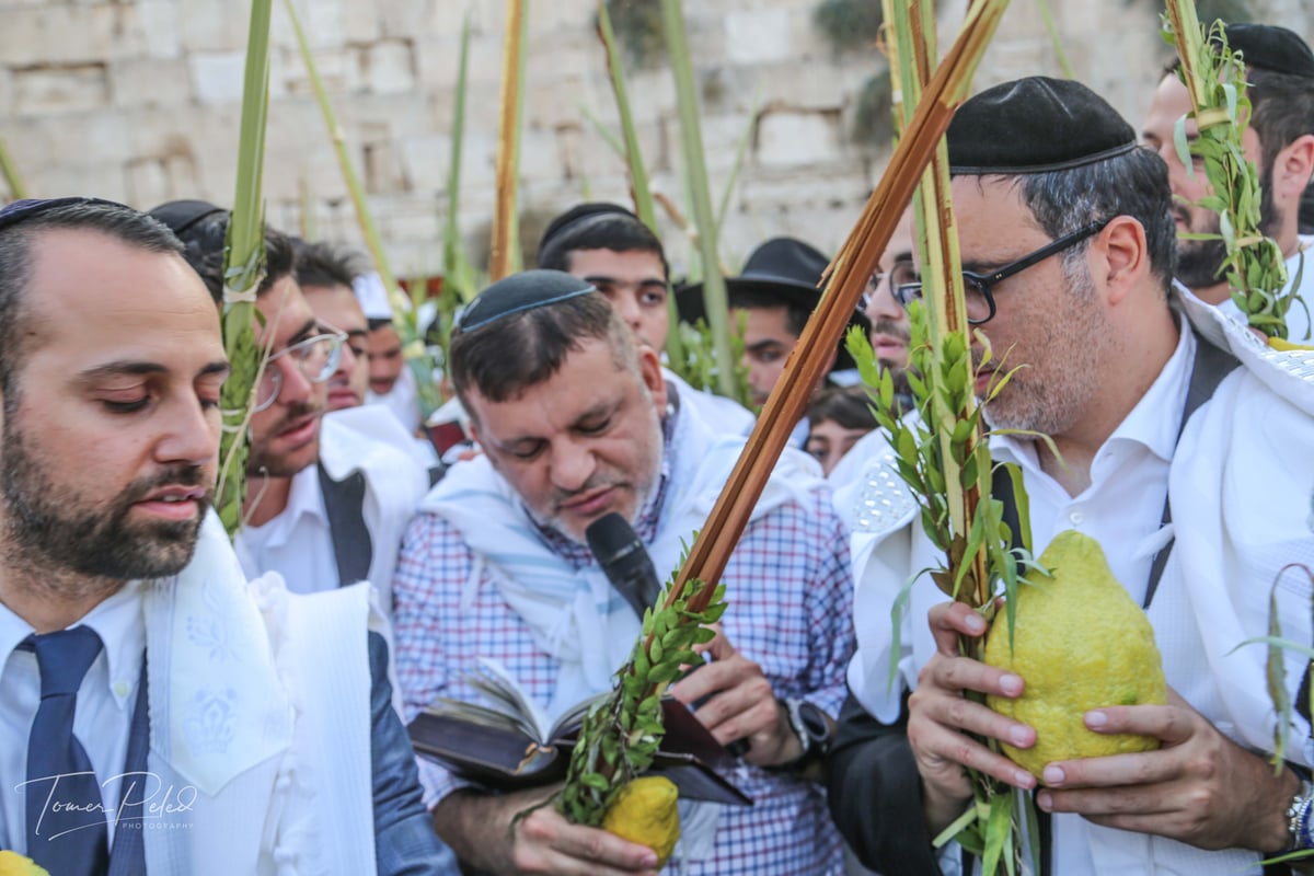 צפו: יעקב שוואקי מסלסל בהושענות בכותל המערבי