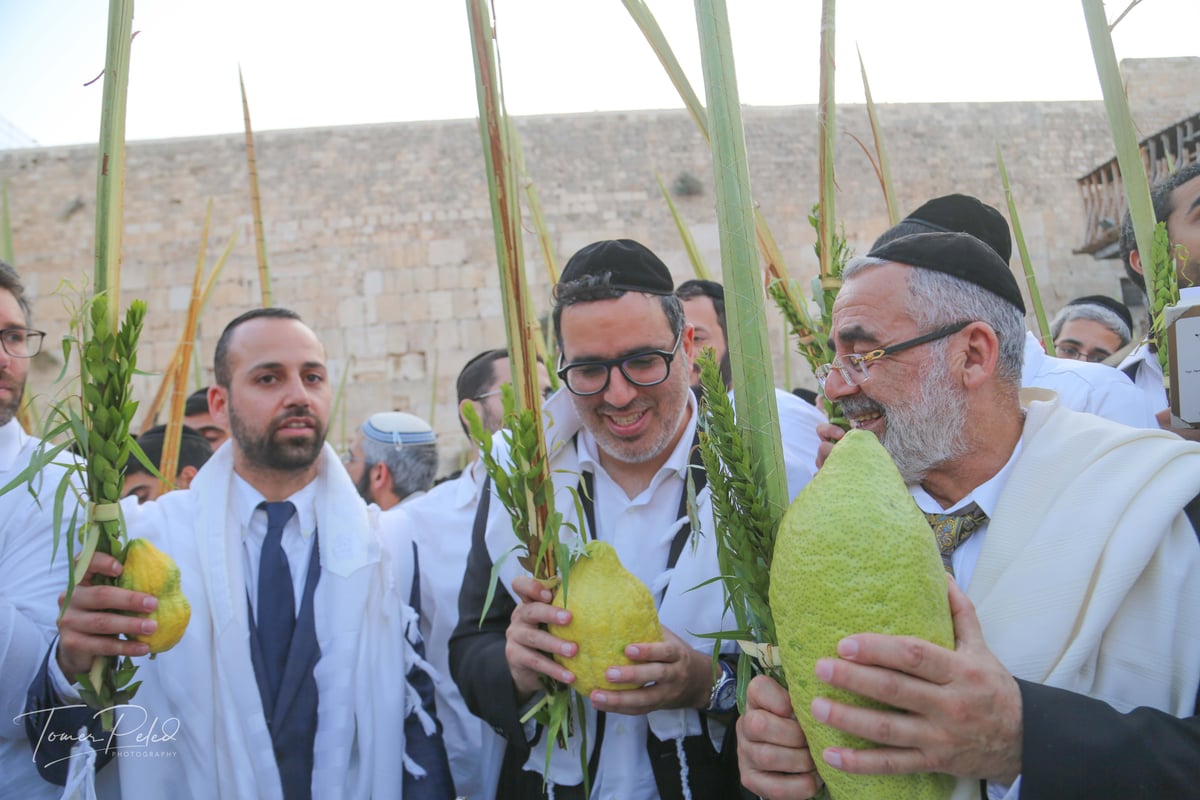 צפו: יעקב שוואקי מסלסל בהושענות בכותל המערבי