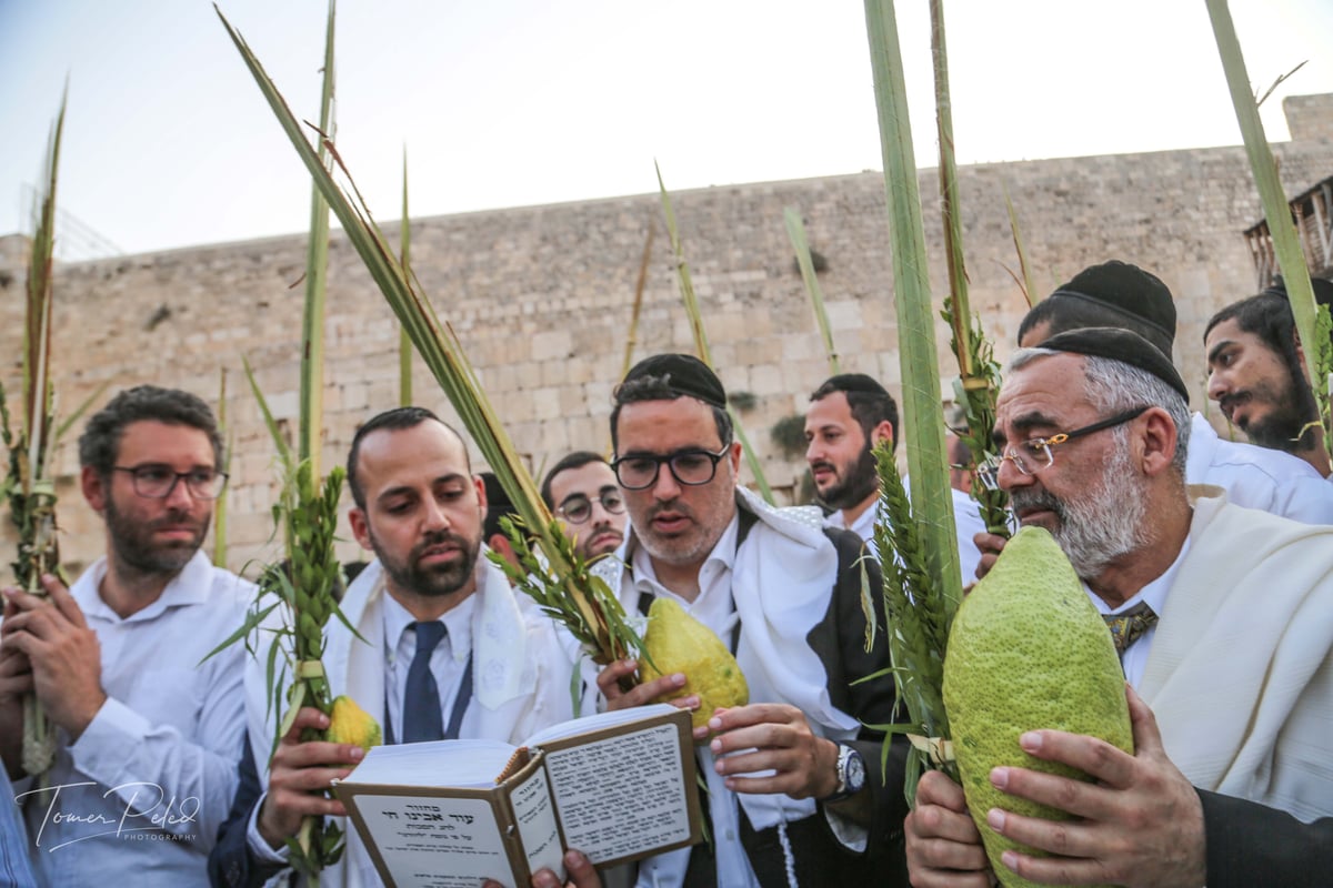 צפו: יעקב שוואקי מסלסל בהושענות בכותל המערבי