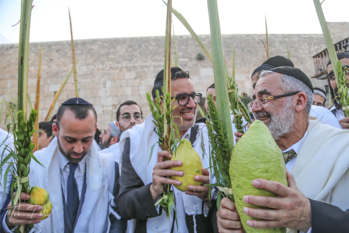 צפו: יעקב שוואקי מסלסל בהושענות בכותל המערבי