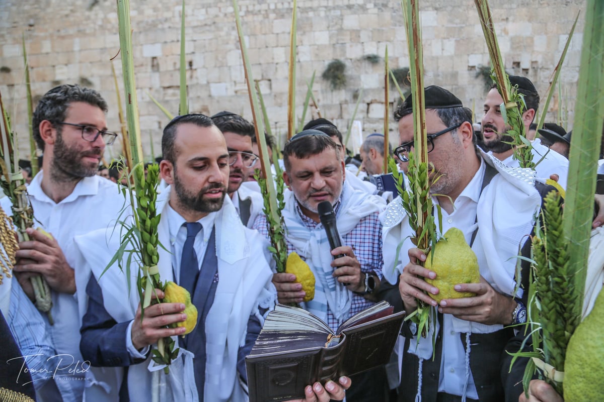 צפו: יעקב שוואקי מסלסל בהושענות בכותל המערבי