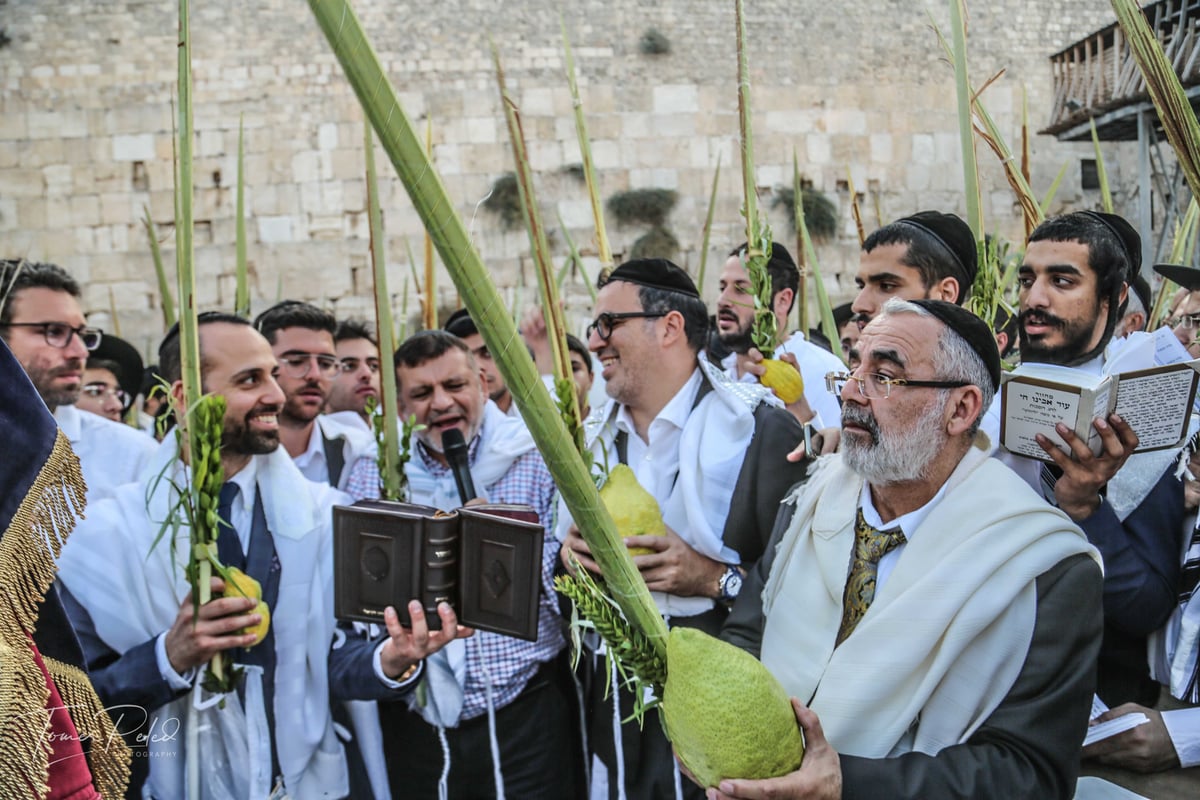 צפו: יעקב שוואקי מסלסל בהושענות בכותל המערבי