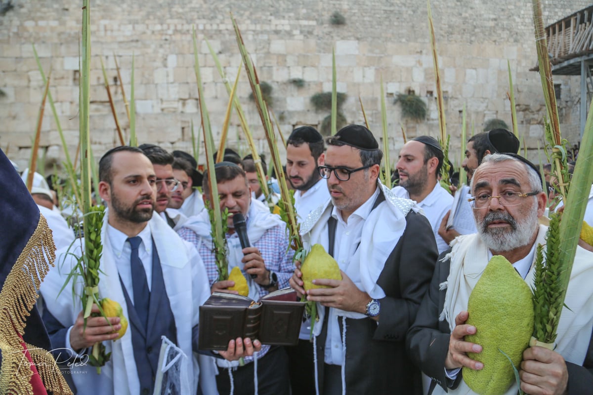 צפו: יעקב שוואקי מסלסל בהושענות בכותל המערבי