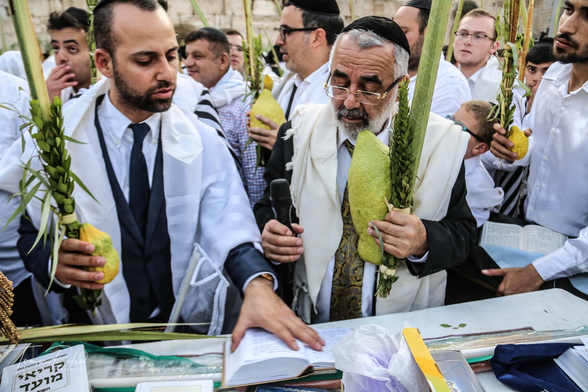 צפו: יעקב שוואקי מסלסל בהושענות בכותל המערבי