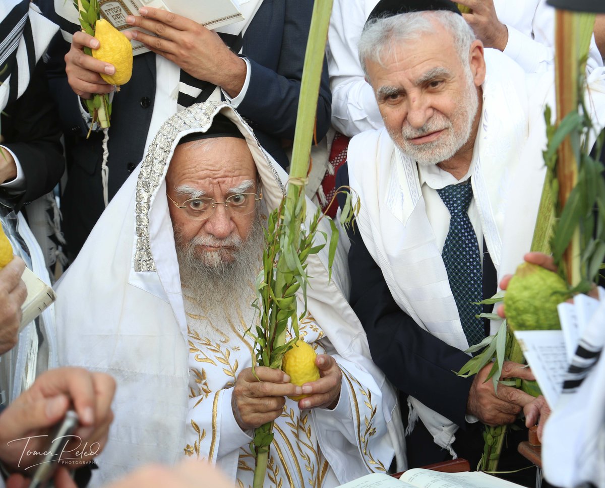 צפו: יעקב שוואקי מסלסל בהושענות בכותל המערבי