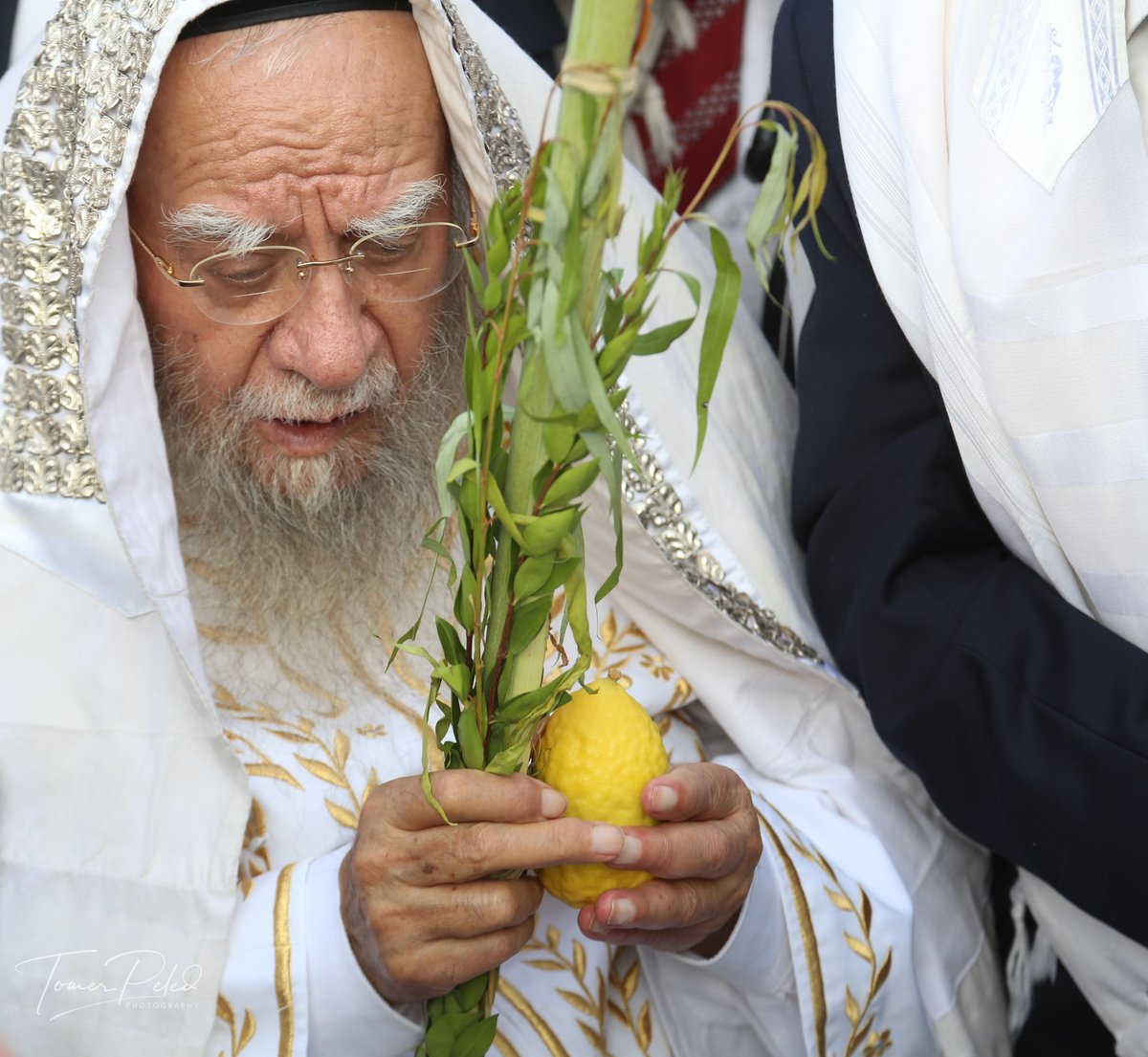 צפו: יעקב שוואקי מסלסל בהושענות בכותל המערבי