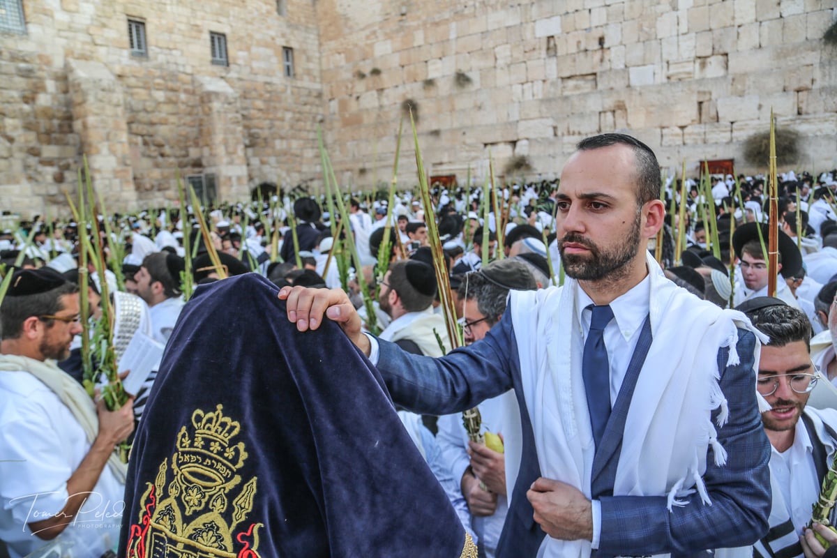 צפו: יעקב שוואקי מסלסל בהושענות בכותל המערבי