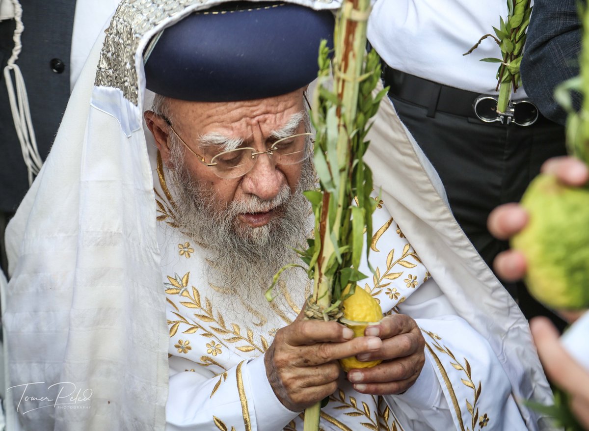 צפו: יעקב שוואקי מסלסל בהושענות בכותל המערבי