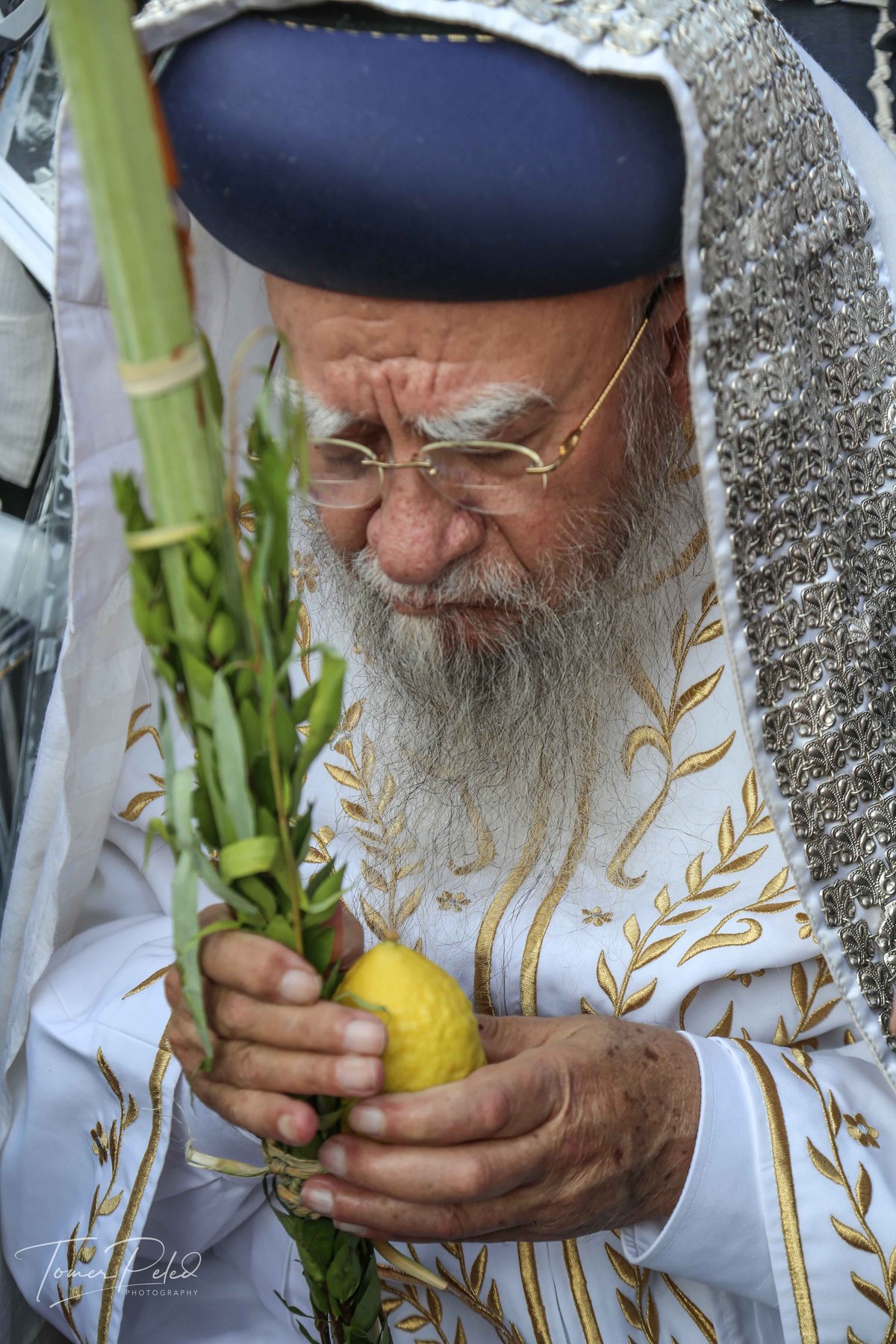 צפו: יעקב שוואקי מסלסל בהושענות בכותל המערבי