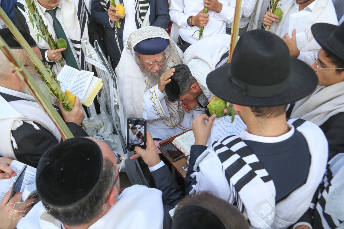 צפו: יעקב שוואקי מסלסל בהושענות בכותל המערבי