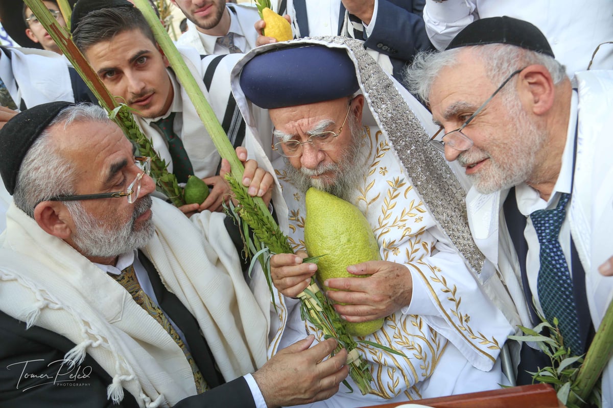 צפו: יעקב שוואקי מסלסל בהושענות בכותל המערבי