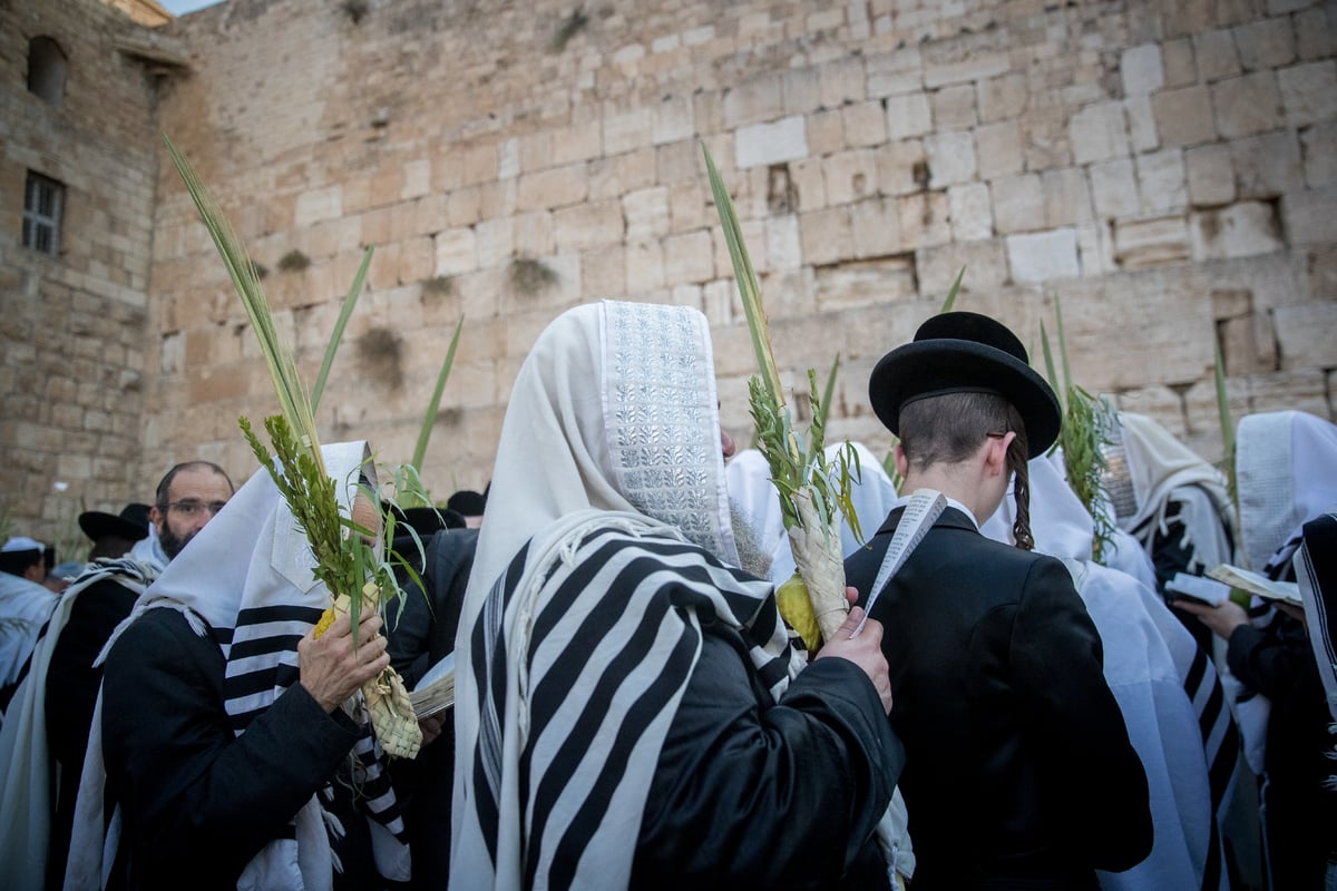 הושענא רבה ברחבת הכותל המערבי. תיעוד