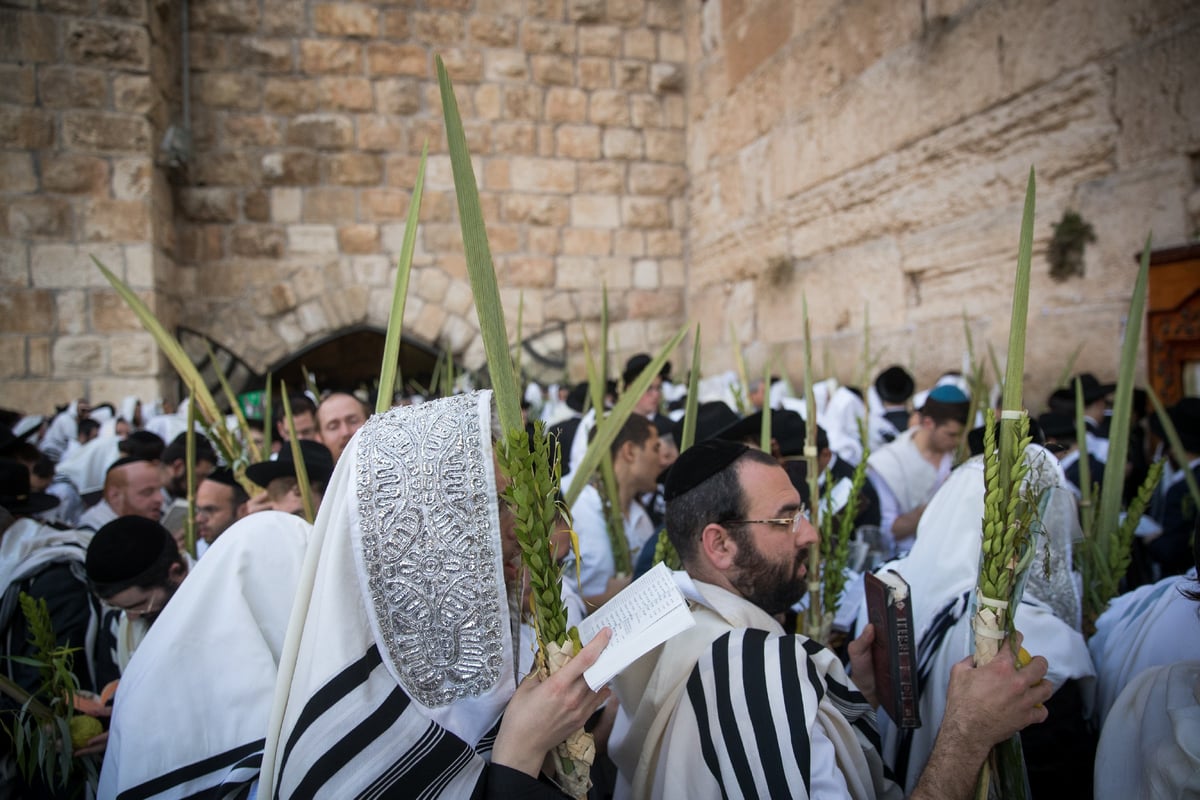 הושענא רבה ברחבת הכותל המערבי. תיעוד